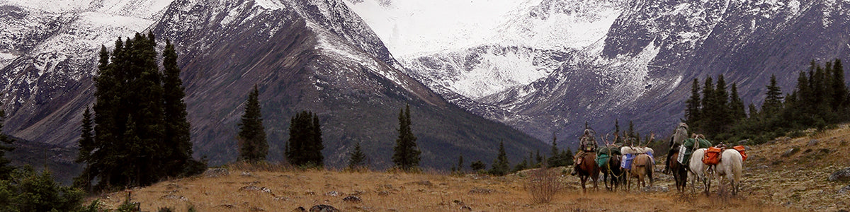 Mountain landscape